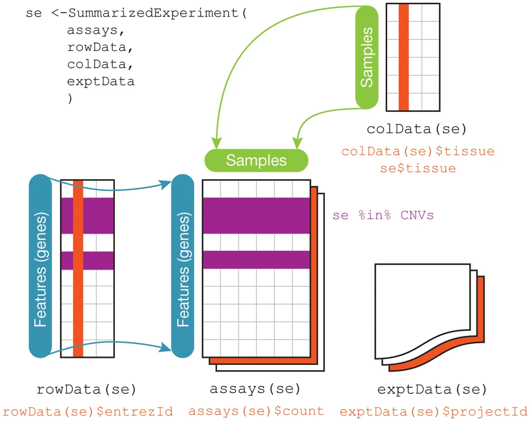 Distribution of Per Sample Normalization Factors