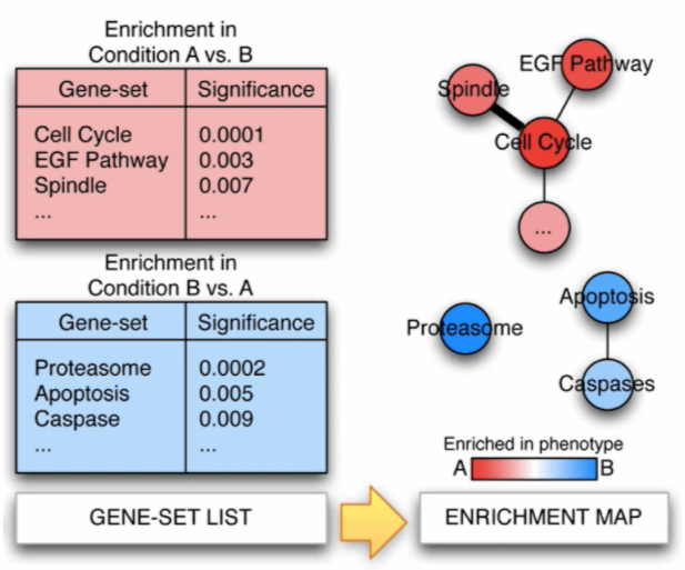 cytoscape1